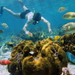 mergulho cancun mexico